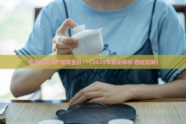 玉溪普洱茶产地是哪里好