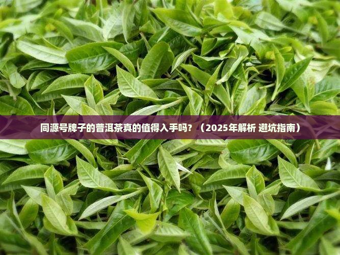 同源号牌子的普洱茶好