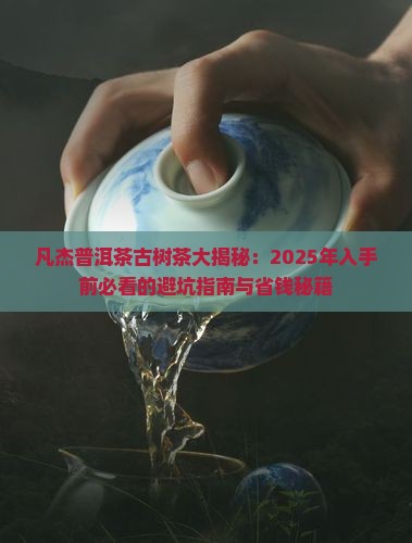 凡杰普洱茶古树茶