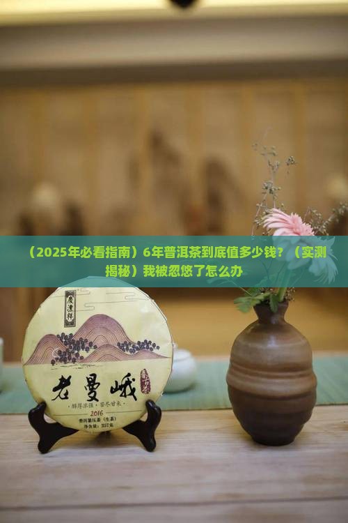 6年的普洱茶价格