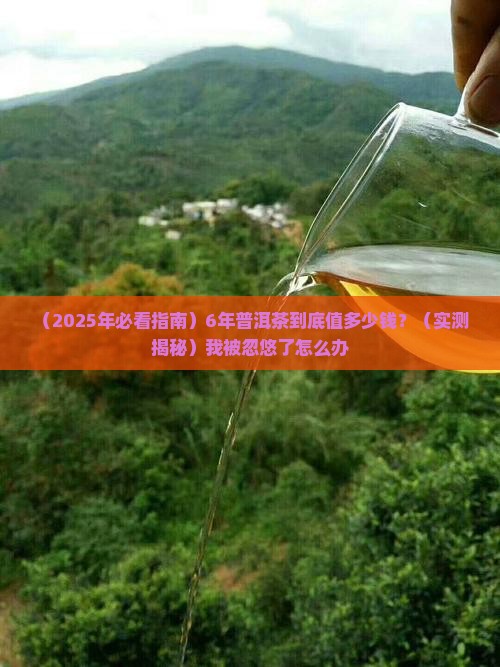 6年的普洱茶价格