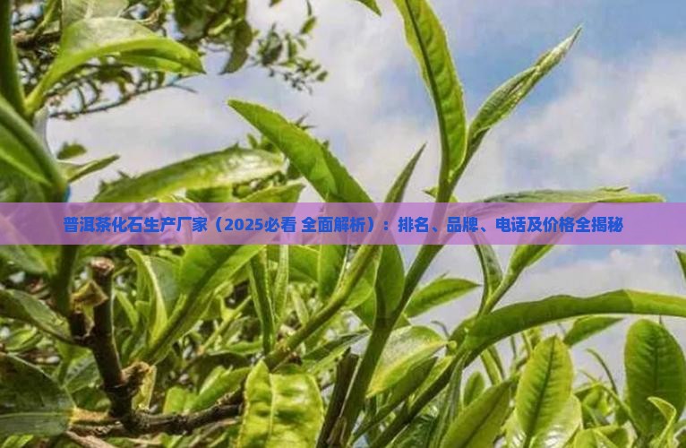 普洱茶化石生产厂家