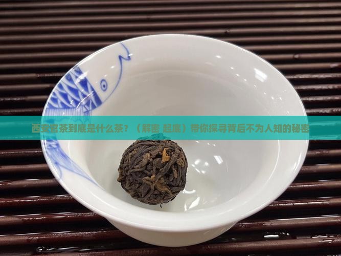 西安官茶是什么茶