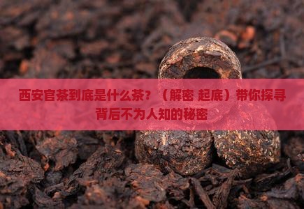 西安官茶是什么茶