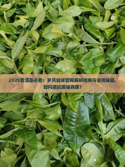 岁月知味普洱茶官网