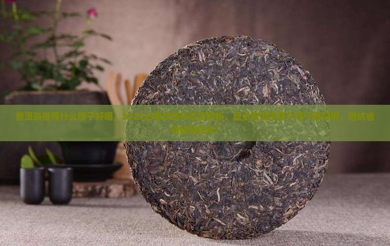 普洱茶推荐什么牌子好喝