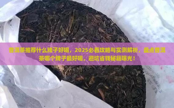 普洱茶推荐什么牌子好喝