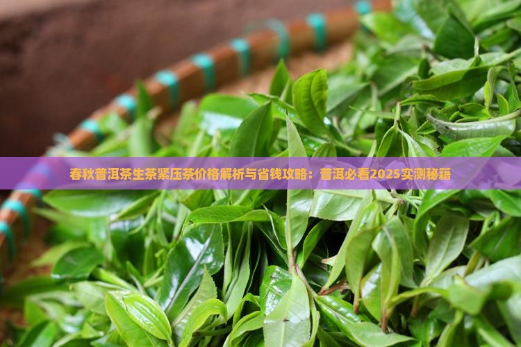醉春秋普洱茶生茶紧压茶