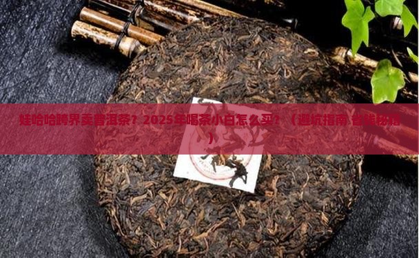 娃哈哈的普洱茶