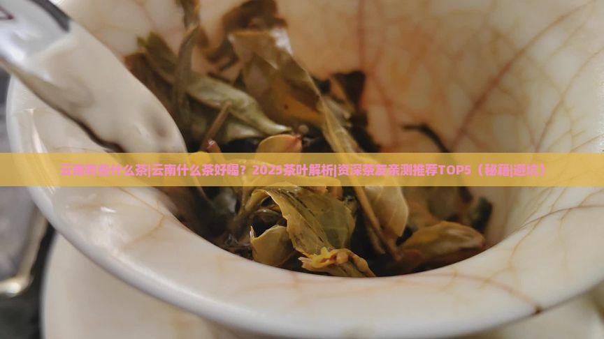 云南有些什么茶云南什么茶好喝