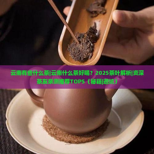云南有些什么茶云南什么茶好喝