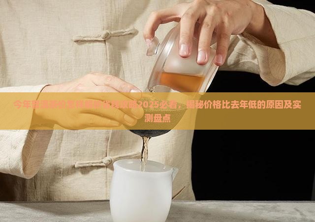今年普洱茶价怎样