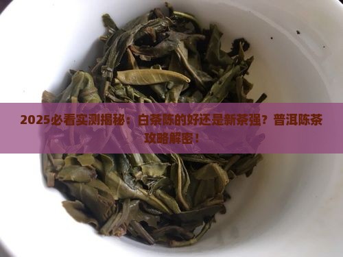白茶陈的好还是新茶好普洱陈茶