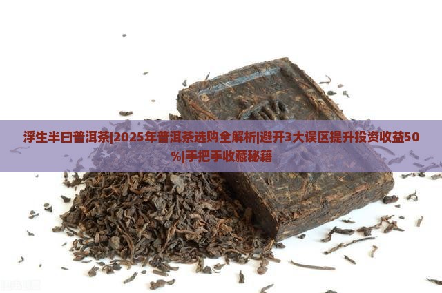 浮生半曰普洱茶