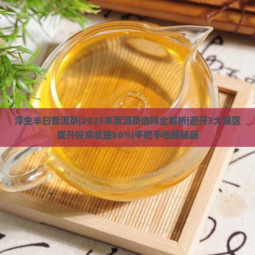 浮生半曰普洱茶