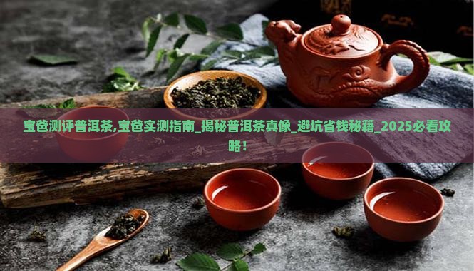 宝爸测评普洱茶