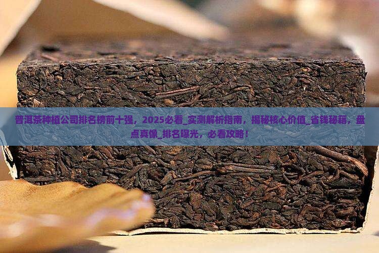 普洱茶种植公司排名榜前十强
