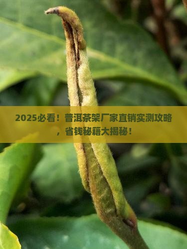 普洱茶架厂家直销