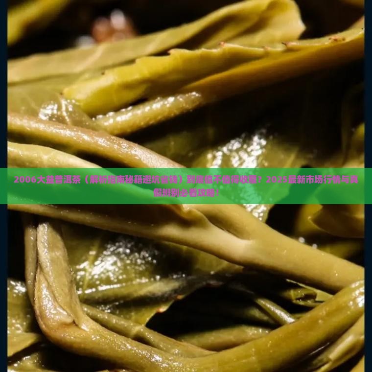 2006大益普洱茶