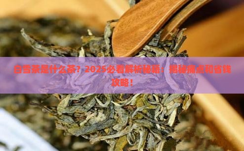 白雪茶是什么茶
