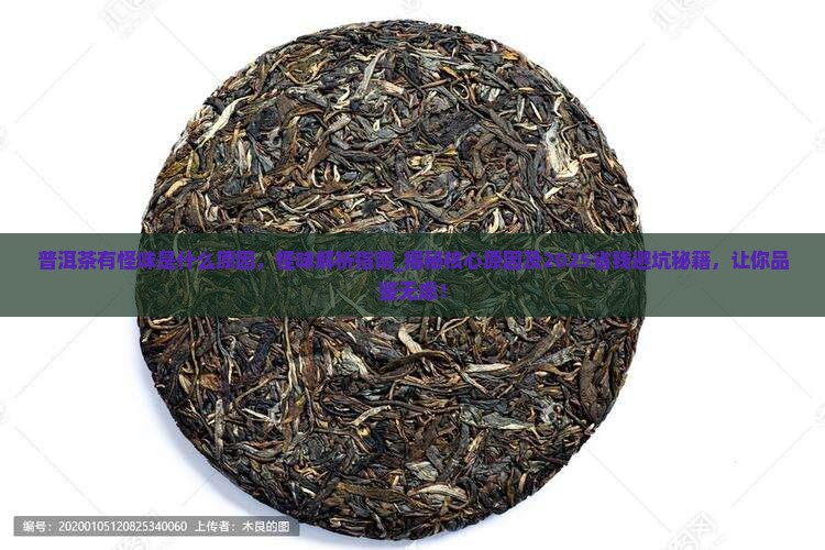 普洱茶有怪味是什么原因