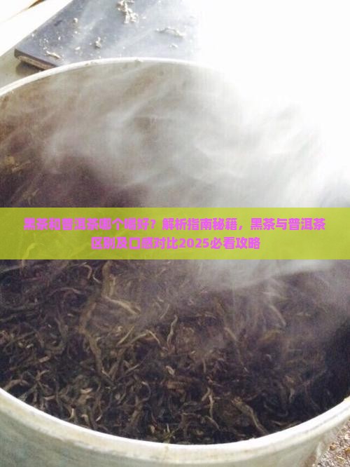 黑茶和普洱茶哪个喝好