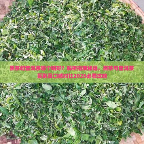 黑茶和普洱茶哪个喝好
