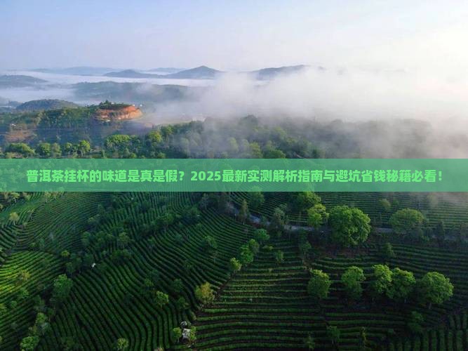 普洱茶挂杯的味道