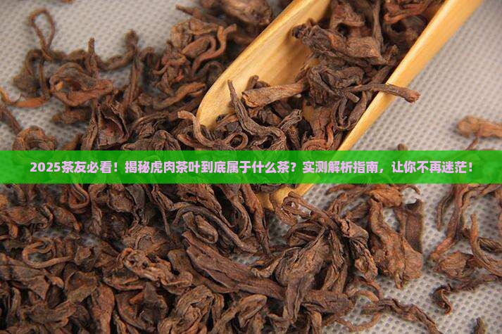 虎肉茶叶属于什么茶