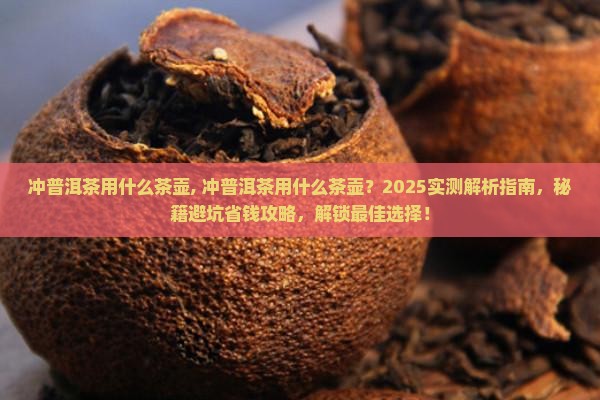 冲普洱茶用什么茶壶