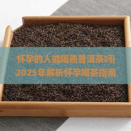 怀孕的人能喝熟普洱茶吗