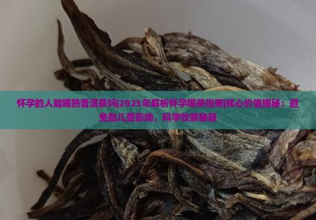 怀孕的人能喝熟普洱茶吗