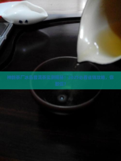 神韵茶厂冰岛普洱茶