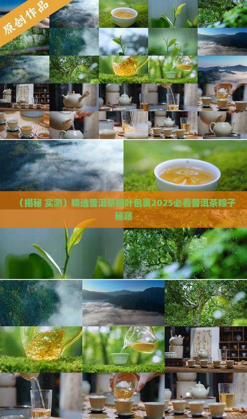 粽子叶包普洱茶饼