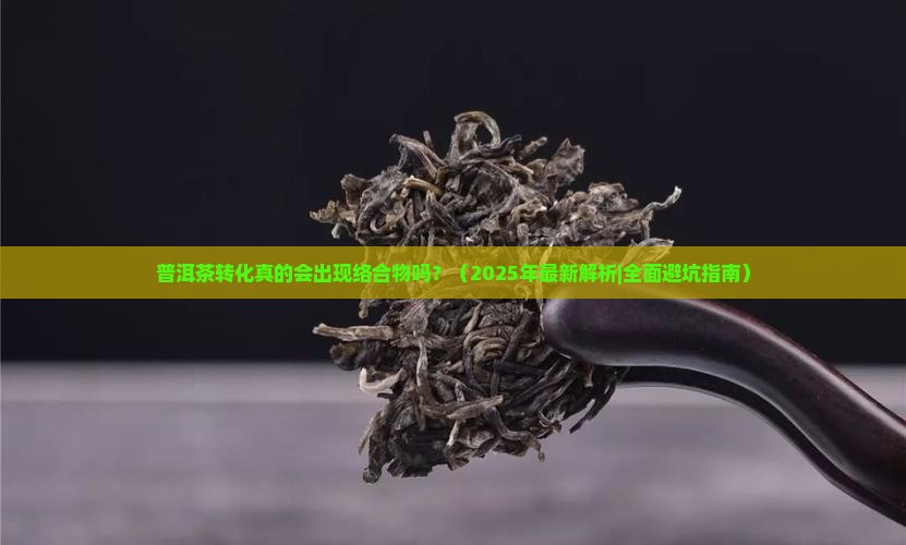 普洱茶转化会出现络合物吗