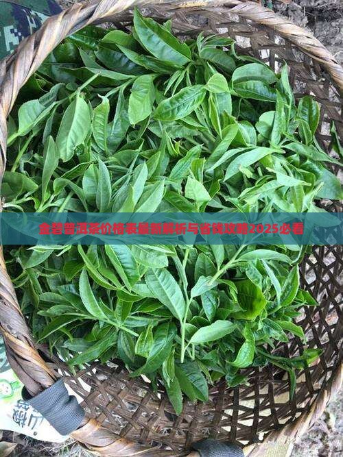 金碧湾普洱茶价格表最新