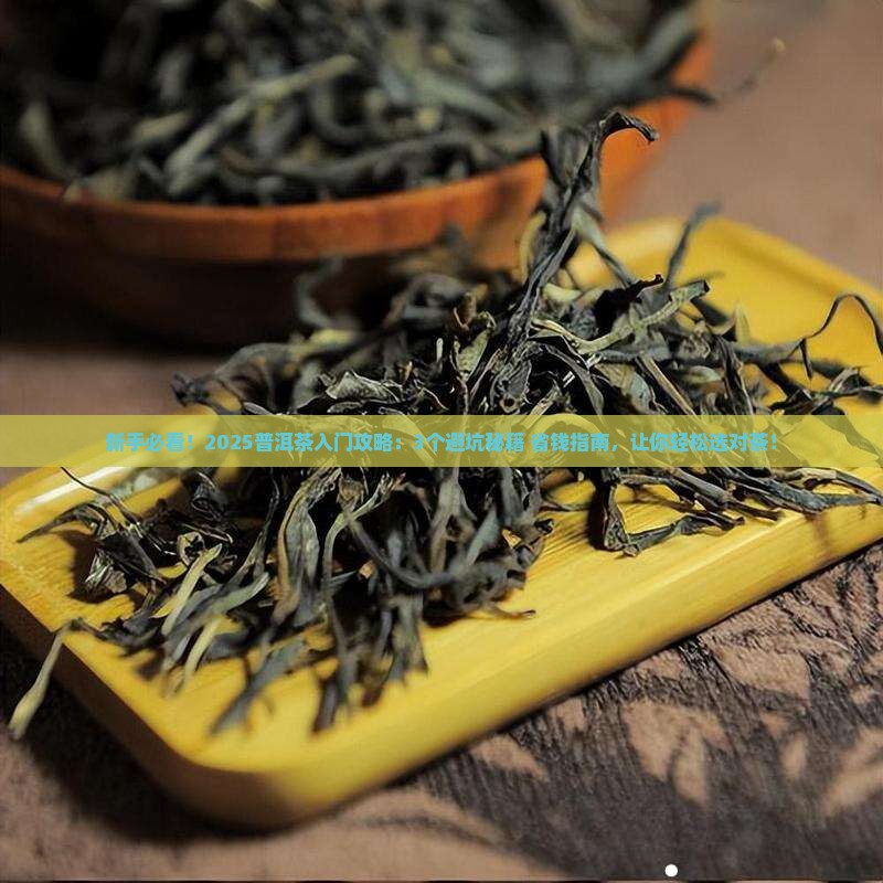 普洱茶新手推荐