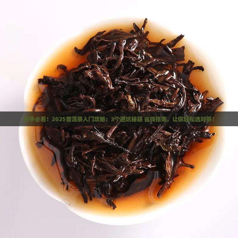 普洱茶新手推荐