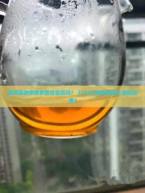 普洱茶熟茶茶多酚