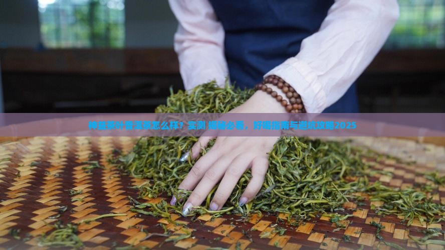 神益茶叶普洱茶怎么样