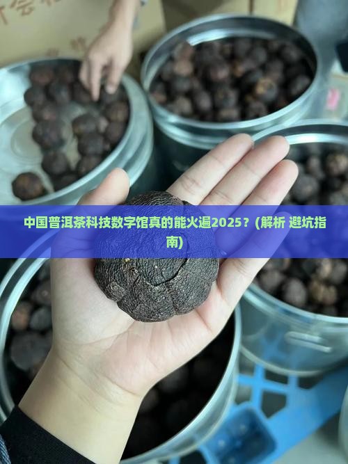 中国普洱茶科技数字馆官正云茶