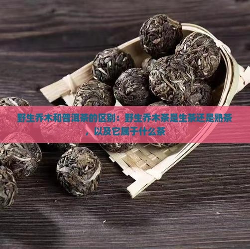 野生乔木和普洱茶的区别