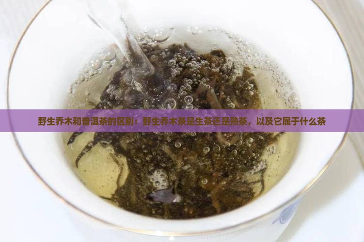 野生乔木和普洱茶的区别
