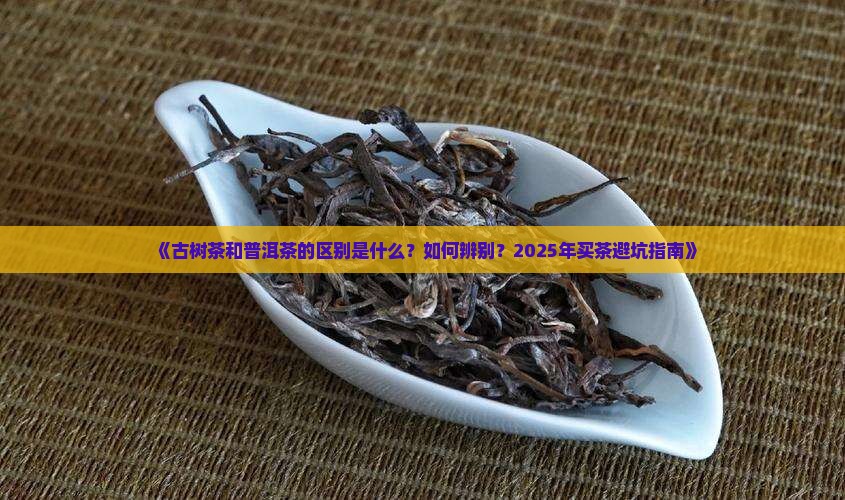 什么是古树茶和普洱茶