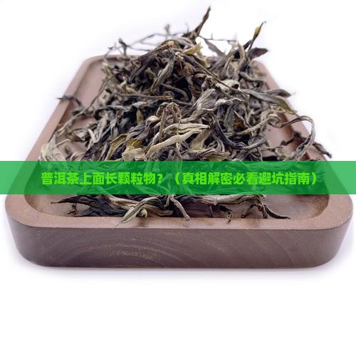 普洱茶上面有颗粒物