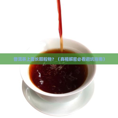 普洱茶上面有颗粒物