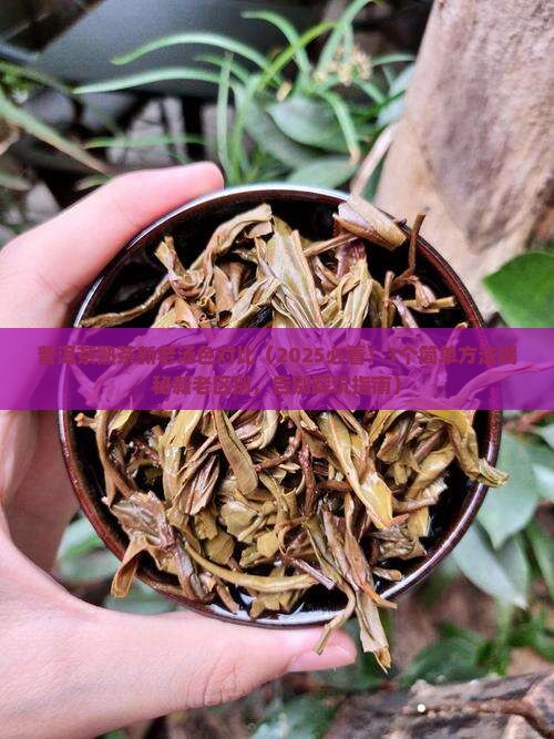 普洱茶熟茶新老汤色对比