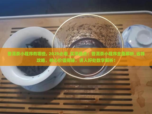 普洱茶小程序有哪些