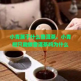 小青柑只能做普洱茶吗为什么