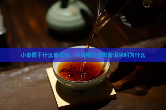 小青柑只能做普洱茶吗为什么